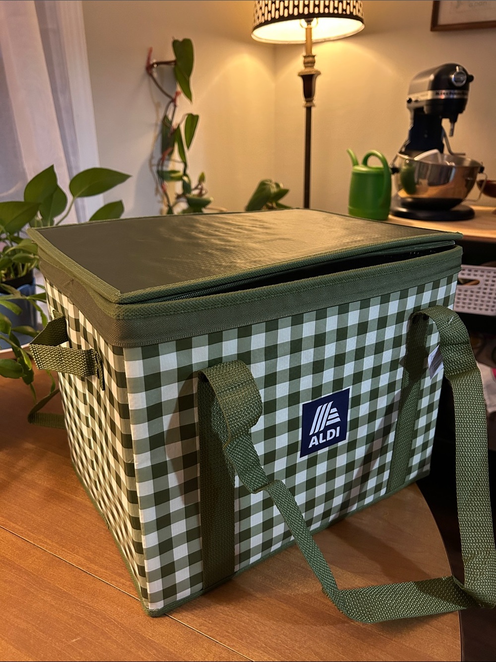 Green Gingham Aldi Cooler Bag